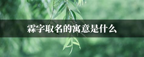 霖名字意思|霖字取名吉凶